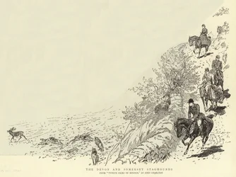 Les chiens de chasse du Devon et du Somerset